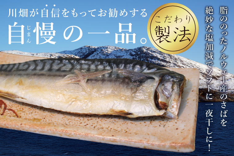 大トロさば文化干し　6パック【茨城県共通返礼品：神栖市】|鯖 サバ 干物 一夜干し 惣菜 おつまみ 冷凍 小分け 個包装 茨城県 取手市（BZ001）