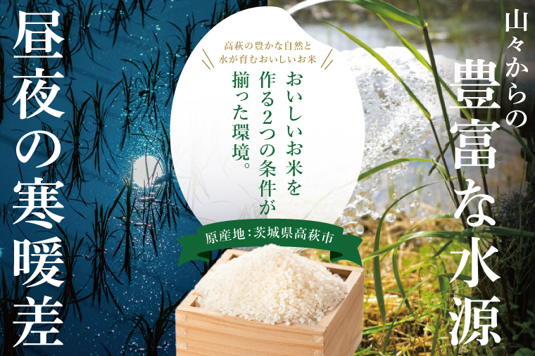 コシヒカリ 白米 5kg【茨城県共通返礼品：高萩市】|お米 米 精米 こしひかり 茨城県 取手市（CB001）