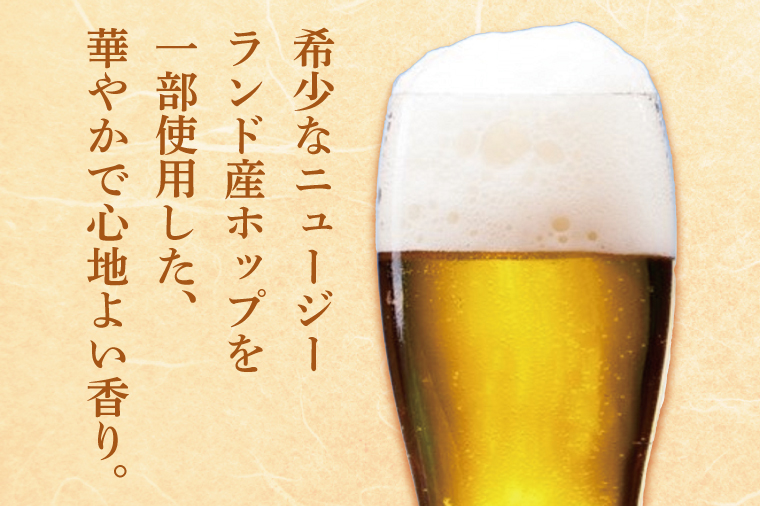 キリンビール取手工場産 スプリングバレーシルクエール〈白〉350ml缶-24本×2ケース|KIRIN 麒麟 ビール クラフトビール SPRING VALLEY BREWERY 茨城県 取手市（AB077-1）