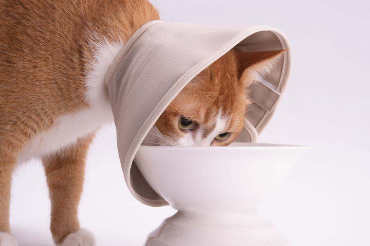 ぽぽねこ 軽くて柔らかい猫用エリザベスカラー 傷口が見えにくい・ソフト・軽量タイプ・ペット用品(BP013)