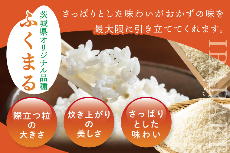 【数量限定】★茨城県オリジナル品種★R7年産 ふくまる 白米30kg|お米 米 ふくまる 白米 茨城県 取手市（BQ003）