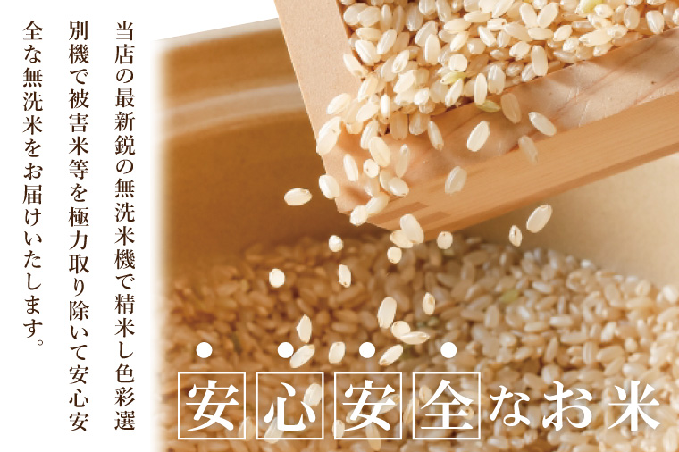 R7年産 取手市産 コシヒカリ 無洗米10kg（5kg×2袋）|お米 米 こしひかり コシヒカリ 白米 無洗米 茨城県 取手市（BS006）