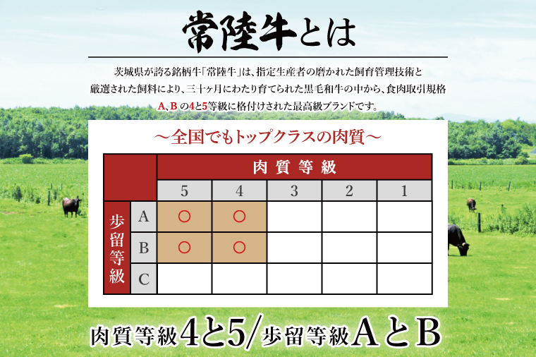 常陸牛 ロースステーキ用 約750g（250g×3枚）【茨城県共通返礼品】｜お肉 牛肉 常陸牛 ロース ステーキ 黒毛和牛 A4 A5 冷凍 茨城県 取手市（BI002）