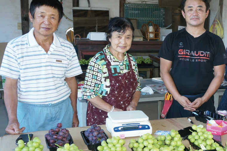 【先行予約】【2026年8月下旬順次発送開始】シャインマスカット1房（約650g）＋粒パック約100g付き【茨城県共通返礼品：下妻市】│ フルーツ 果物 ぶどう 種なし 大粒 数量限定 茨城県（BJ002）