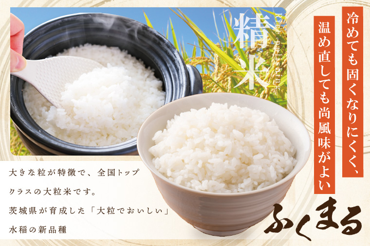 【数量限定】★茨城県オリジナル品種★R7年産 ふくまる 白米30kg|お米 米 ふくまる 白米 茨城県 取手市（BQ003）