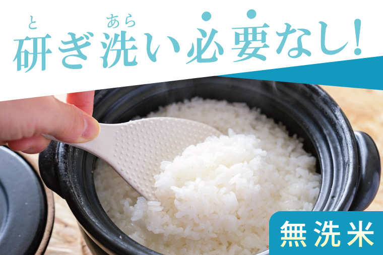 【数量限定】R7年産取手市産コシヒカリ 無洗米5kg|お米 米 こしひかり コシヒカリ 新米 白米 無洗米 茨城県 取手市（BS005）