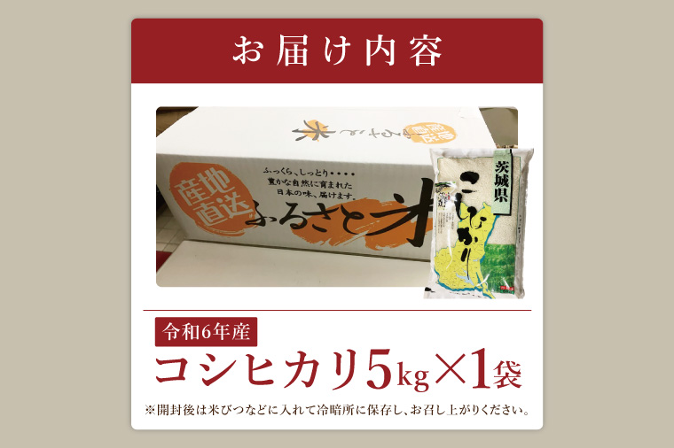 【数量限定】R6年産取手市産コシヒカリ 精米5kg|お米 米 こしひかり コシヒカリ 白米 茨城県 取手市（BS007）