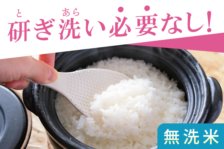 【数量限定】R7年産取手市産あきたこまち 無洗米5kg|お米 米 新米 白米 茨城県 取手市（BS013）