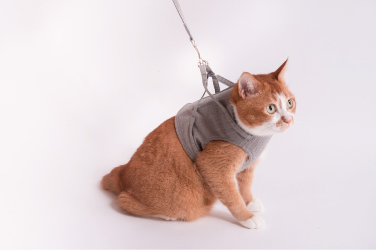 ぽぽねこ 猫に優しいベスト型ハーネス・リード付き（国産・オーガニックコットン・着せやすく脱げにくい）ペット用品(BP010)