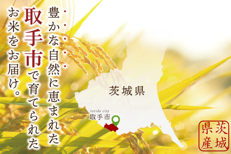 【数量限定】R7年産取手市産コシヒカリ 精米10kg（5kg×2袋）|お米 米 こしひかり コシヒカリ 白米 茨城県 取手市（BS002）