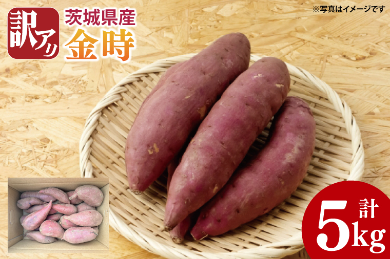【先行予約】【10月中旬以降より順次発送】訳アリ 茨城県産金時 約5kg｜さつまいも 芋 サツマイモ 金時 訳あり わけあり 茨城県 取手市（AS010-1）