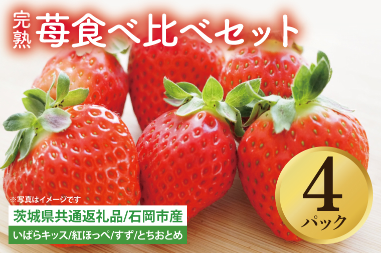 【先行予約】完熟苺 食べ比べセット 4パック【茨城県共通返礼品：石岡市】│ 完熟 いちご イチゴ いばらキッス 紅ほっぺ すず とちおとめ（BH001）