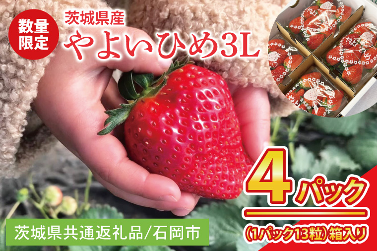 【先行予約】【2026年2月より順次発送】いちご やよいひめ3L 4パック【茨城県共通返礼品／石岡市】│ フルーツ 果物 数量限定 茨城県（BK002）