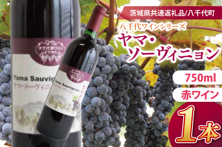 八千代夢ワインシリーズ　ヤマ・ソーヴィニョン（赤ワイン）１本【茨城県共通返礼品／八千代町】│ ワイン 赤紫 カベルネ・ソーヴィニヨン 山ブドウ 国産 茨城県 取手市（BM002）