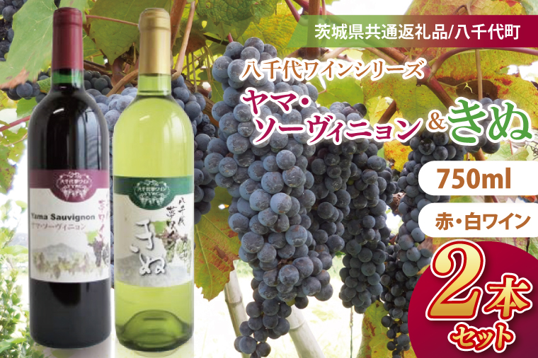 八千代夢ワインシリーズ　ヤマ・ソーヴィニョン（赤）・きぬ（白）２本セット【茨城県共通返礼品／八千代町】│ ワイン 赤ワイン 白ワイン ブドウ カベルネソーヴィニョン 山ブドウ シャルドネ 飲み比べ 国産 茨城県 取手市（BM005）