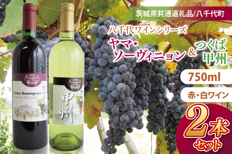 八千代夢ワインシリーズ　ヤマ・ソーヴィニョン（赤）・つくば甲州（白）２本セット【茨城県共通返礼品／八千代町】│ ワイン 赤ワイン 白ワイン カベルネソーヴィニョン ヤマブドウ 甲州 和食 飲み比べ 国産 茨城県 取手市（BM007）
