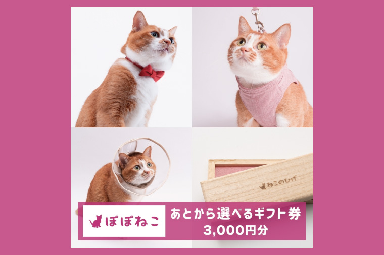 ぽぽねこギフト券（Eメールタイプ）3,000円分オンラインショップで使えるギフト券ペット用品猫（BP001）