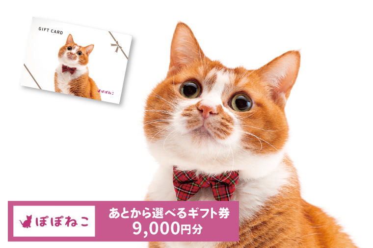 ぽぽねこギフト券（封筒タイプ）9,000円分オンラインショップで使えるギフト券ペット用品猫（BP005）