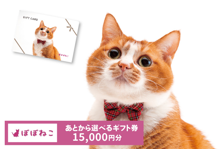 ぽぽねこギフト券（封筒タイプ）15,000円分オンラインショップで使えるギフト券ペット用品猫（BP006）