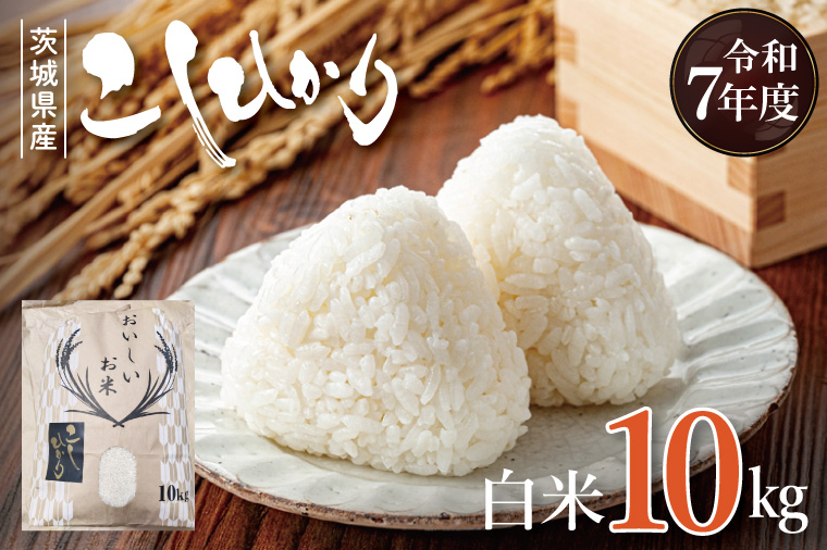 【数量限定】R7年産 コシヒカリ 白米10kg|お米 米 こしひかり コシヒカリ 白米 茨城県 取手市（BQ001）
