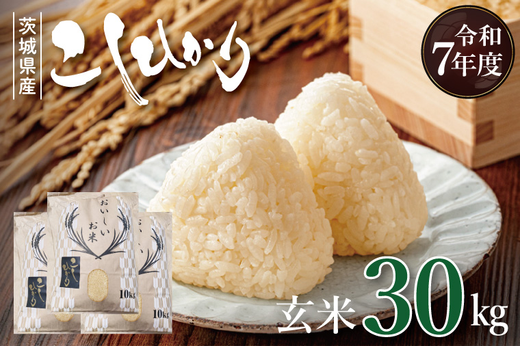 【数量限定】R7年産 コシヒカリ 玄米30kg|お米 米 こしひかり コシヒカリ 玄米 茨城県 取手市（BQ002）