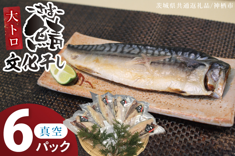 大トロさば文化干し　6パック【茨城県共通返礼品：神栖市】|鯖 サバ 干物 一夜干し 惣菜 おつまみ 冷凍 小分け 個包装 茨城県 取手市（BZ001）
