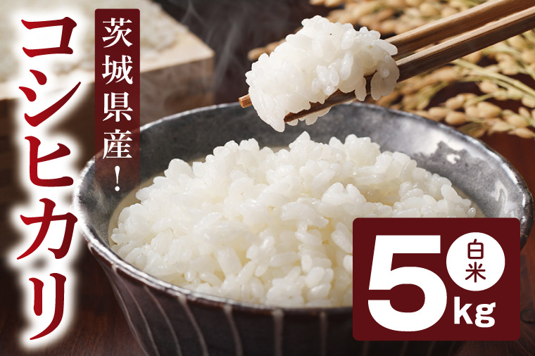コシヒカリ 白米 5kg【茨城県共通返礼品：高萩市】|お米 米 精米 こしひかり 茨城県 取手市（CB001）