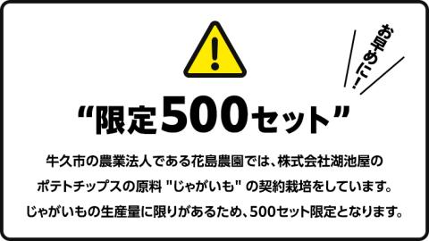 【 湖池屋 3ヶ月 定期便 】 湖池屋 ポテトチップス 2種類アソート （のり塩・じゃがいもと塩）（各12袋・計24袋 ×３回） ポテチ お菓子 おかし 大量 スナック おつまみ ジャガイモ