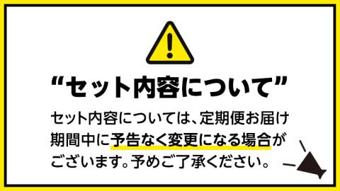【 定期便 全6回 隔月 お届け 】 新宿 中村屋 レトルト 食べ比べ セット ( Bセット 17種 ) 人気 詰合せ 洋食 時短 カレー インドカレー ビーフカレー 欧風カレー 数量限定 贈答品 レンチン レンジ