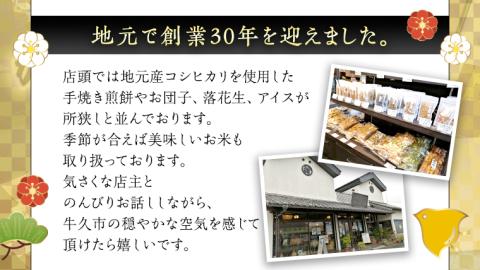 かっぱ本舗商品券3,000円 和菓子 和スイーツ おせんべい お団子 商品券 お祝い