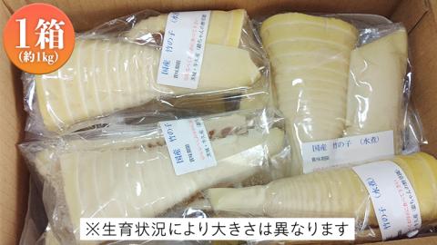 《 先行予約 》 掘りたて 穂先 ゆでたけのこ 約1kg 【 2026年 4月中旬 以降発送 】 野菜 春 旬 期間限定 数量限定 国産 産地直送 箱 真空パック 個包装 茹で 筍 タケノコ 竹の子