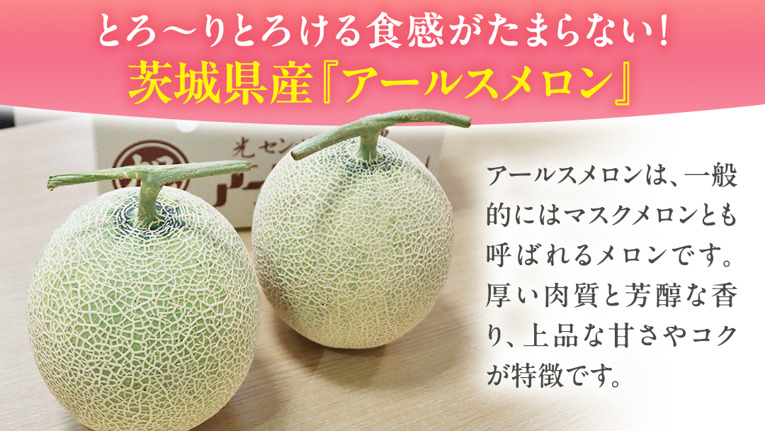【 先行予約 】茨城県産 アールスメロン 秀品 3L サイズ × 2玉 入り おすすめ JA全農いばらき JA メロン めろん ふるさと納税 フルーツ 予約 マスクメロン くだもの 果物 国産旬 定番 旬 期間限定 青肉 果物 【 2025年8月下旬から発送 】
