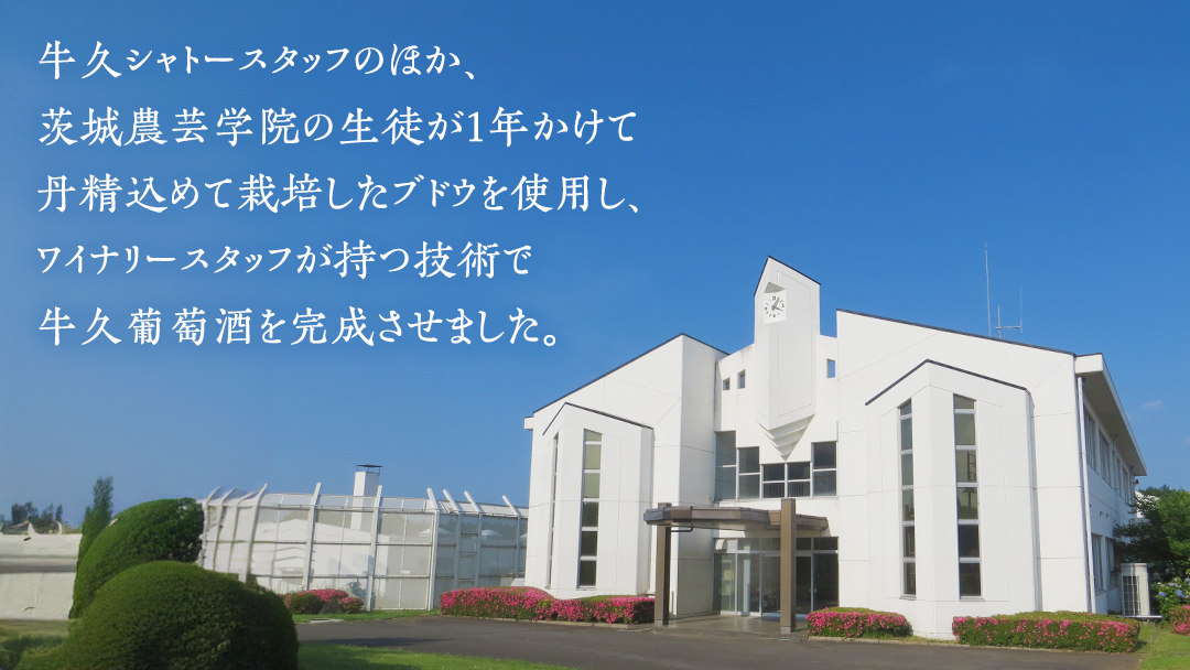 【 数量限定 】 牛久葡萄酒メルロー 2024（赤） 750ml 1本 お酒 牛久シャトー ワイナリー 赤ワイン ぶどう 国産ぶどう 葡萄 贈り物 ライトボディ 日本ワイン 茨城農芸学院 わいん