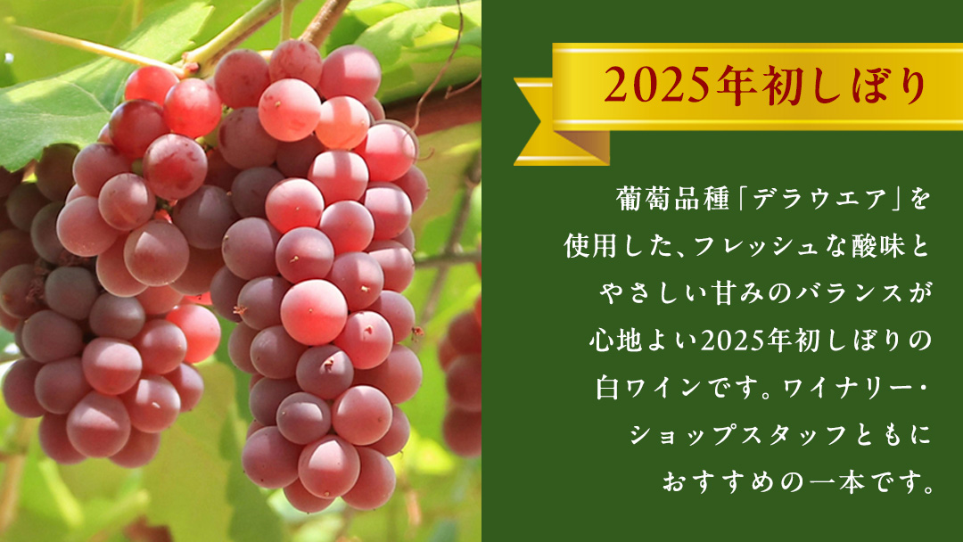 青デラ 750ml ワイン 白ワイン 白 酒 牛久シャトー デラウエア