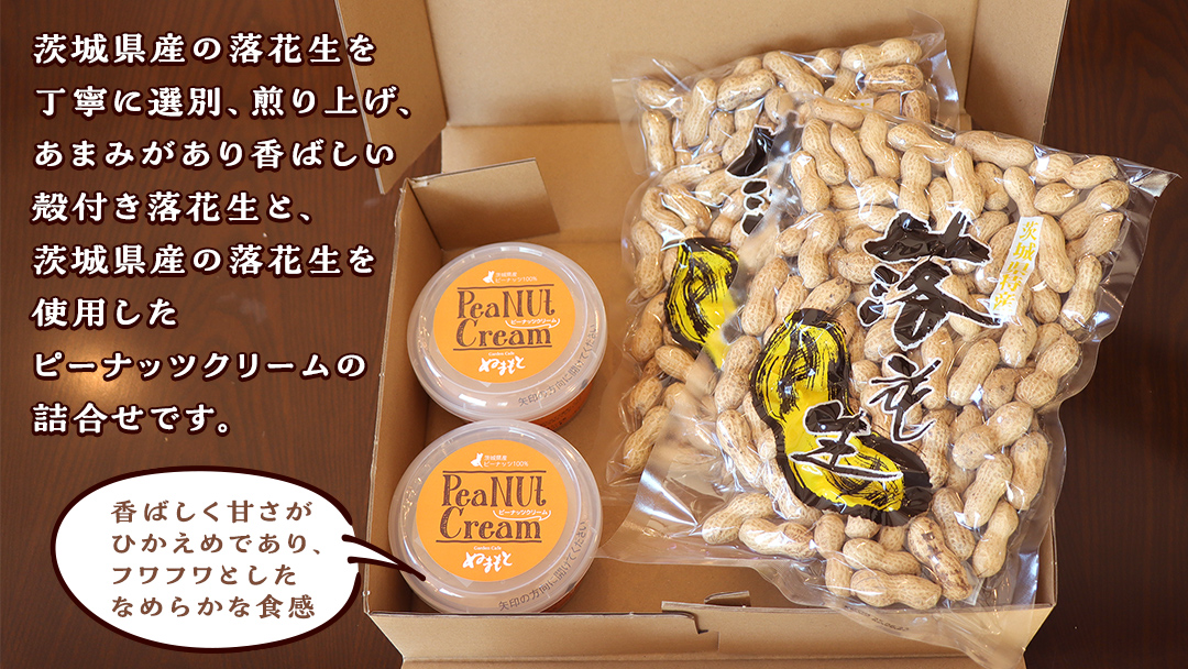 落花生 ・ ピーナッツクリーム ギフトセット ピーナッツ クリーム ギフト プレゼント 贈り物 ピーナツ らっかせい 殻付き 豆 豆菓子 お菓子 茨城