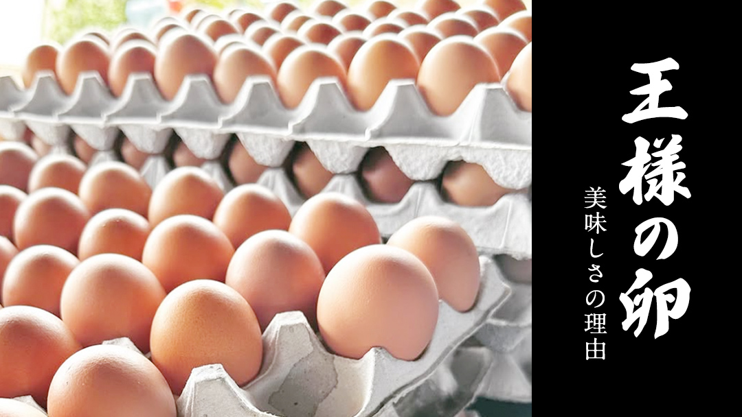 王様の卵 ヨード入 40個 (35個+割れ保障5個 ) 平飼い 地鶏 有精卵 濃厚 卵 こだわり卵 たまご