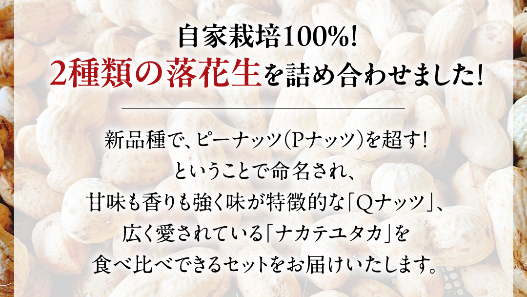 【2025年11月以降発送】牛久市産落花生Ｑナッツセット Qなっつ Qなっつ ピーナッツ ピーナツ ナカテユタカ 中手豊 殻付き おやつ お菓子 おつまみ お取り寄せ 詰め合わせ お土産 贈り物 ギフト プチギフト 国産 茨城