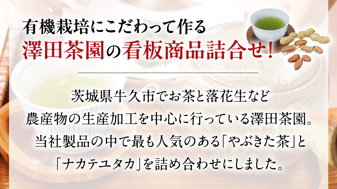 牛久市産お茶1品と落花生1種（各大小1袋）の3点セット 落花生 ピーナッツ ピーナツ ナカテユタカ 中手豊 お茶 煎茶 やぶきた茶 美味しい おいしい おやつ お菓子 セット 詰め合わせ ビールのお供 お取り寄せ 詰め合わせ お土産 贈り物 プチギフト 国産 茨城 特産品 農園 自家栽培