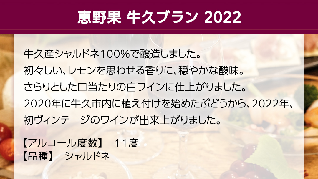 恵野果 牛久ブラン 2022 750ml×1本 茨城県産 牛久醸造場 日本ワイン ワイン 白ワイン 750ml ミディアムボディ お酒 贈り物 葡萄 ぶどう