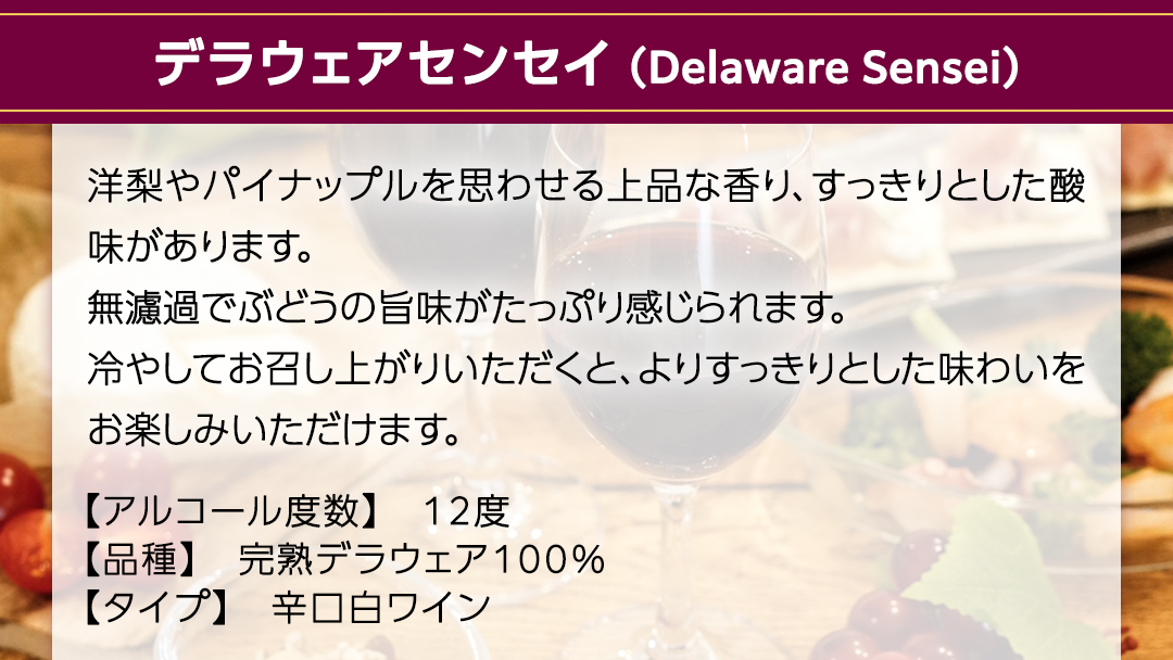 デラウェアセンセイ Delaware Sensei 2024 750ml×1本 茨城県産 牛久醸造場 日本ワイン ワイン 白ワイン 750ml ミディアムボディ お酒 贈り物 葡萄 ぶどう