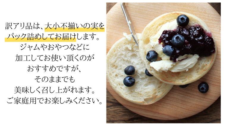 《 先行予約 》ブルーベリー 大小不揃い 約 1kg【2026年6月中旬頃より発送開始】 訳アリ B品 お得 甘い 甘酸っぱい 産地直送 おやつ デザート ジャム スムージー