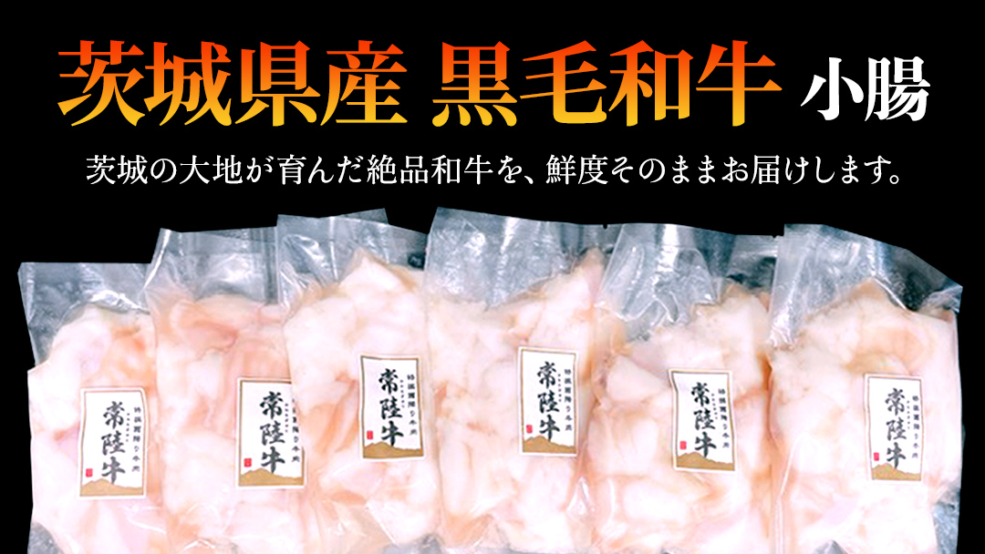 【茨城県産】 黒毛和牛 もつ鍋 焼肉用 小腸 1.2kg（200g×6パック） (茨城県共通返礼品) 国産 牛肉 肉 お肉 ホルモン もつ 焼肉
