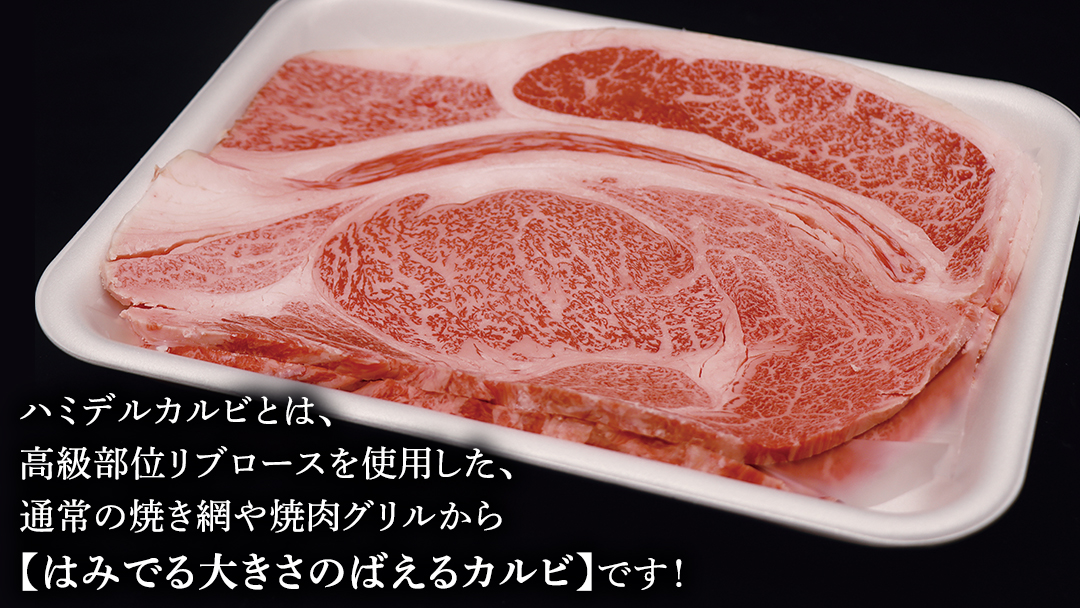 常陸牛 ハミデルカルビ 300g （ 2～ 3枚 ） (茨城県共通返礼品) 国産 焼き肉 カブリ ゲタ リブ芯 リブ巻 中落ちカルビ バーベキュー BBQ お肉 ブランド牛 黒毛和牛 和牛 国産黒毛和牛 国産牛 牛肉