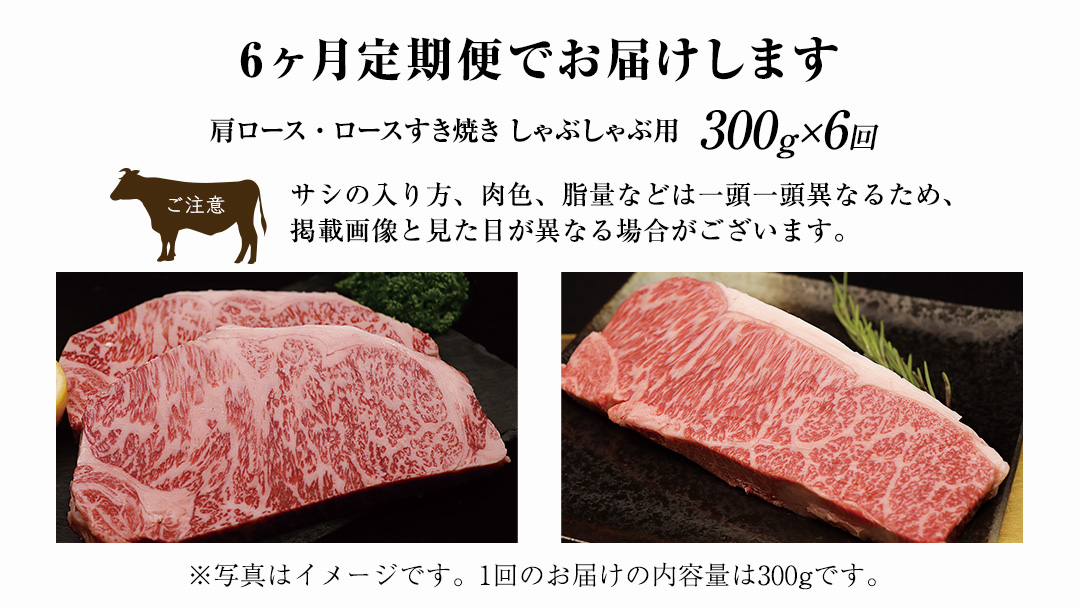 【 6ヶ月定期便 】【 常陸牛 】煌 サーロイン ステーキ 300g ( 1枚 ) ( 化粧箱入り ) ( 茨城県共通返礼品 ) 国産 きらめき 霜降 小ザシ お肉 肉 A5ランク ブランド牛 牛肉 ひたち牛 ブランド和牛 ステーキ用