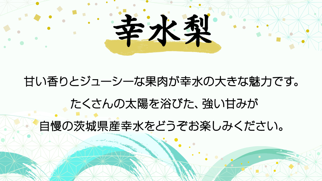 ≪先行予約≫ 茨城県産 梨 幸水 （約 5kg） 【 2026年 8月下旬頃より発送開始 】 梨 なし 果物 フルーツ 新鮮 旬 期間限定 甘い 国産