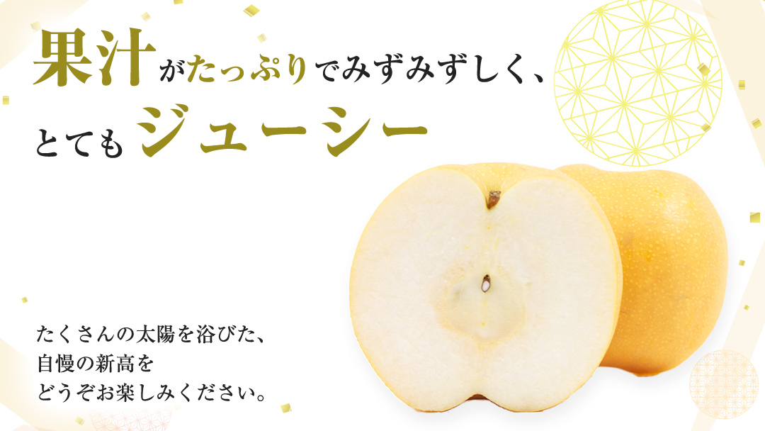 【 2026年9月下旬発送開始 】 茨城県産 梨 新高 （約 5kg ） 6～12玉 フルーツ 果物 なし ナシ 旬 新鮮 甘い 国産 ジューシー みずみずしい 先行予約