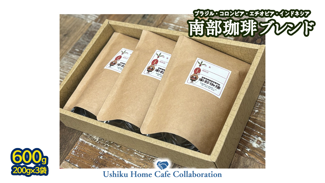 【牛久市限定コラボ】 南部珈琲 ブレンド 200g × 3袋 ＆ Dot.Bagel おまかせ ベーグル 10個 コーヒー豆 600ｇ コーヒー ブレンド 焙煎 おすすめ セット 詰合せ 食べ比べ