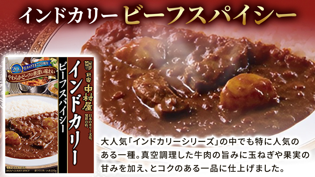 新宿 中村屋 インドカリー ビーフスパイシー 40個 レトルト レトルトカレー カレー 常温 温めるだけ 人気 洋食 時短 インドカレー スパイシーカレー 長期保存 災害用 保存食 レンチン レンジ