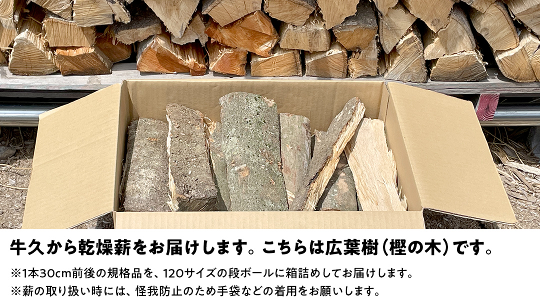 牛久市産 乾燥 薪 樫 ( かし ) 約14kg～16kg 天然木 マキ 乾燥薪 広葉樹 キャンプ アウトドア 焚火 焚き火 薪ストーブ 暖炉 たき火 野外 屋外 バーベキュー薪 ピザ窯の薪 グリル焼