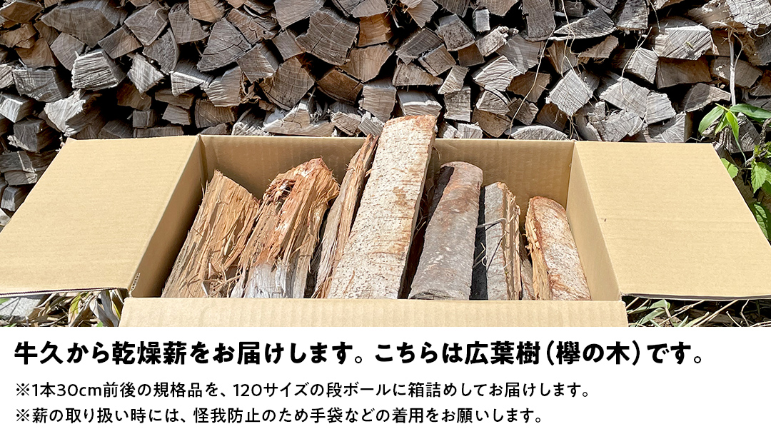 牛久市産 乾燥 薪 欅 ( けやき ) 約14kg～16kg 天然木 マキ 乾燥薪 広葉樹 キャンプ アウトドア 焚火 焚き火 薪ストーブ 暖炉 たき火 野外 屋外 バーベキュー薪 ピザ窯の薪 グリル焼
